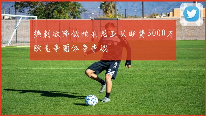 热刺欲降低帕利尼亚买断费3000万欧竞争葡体争夺战