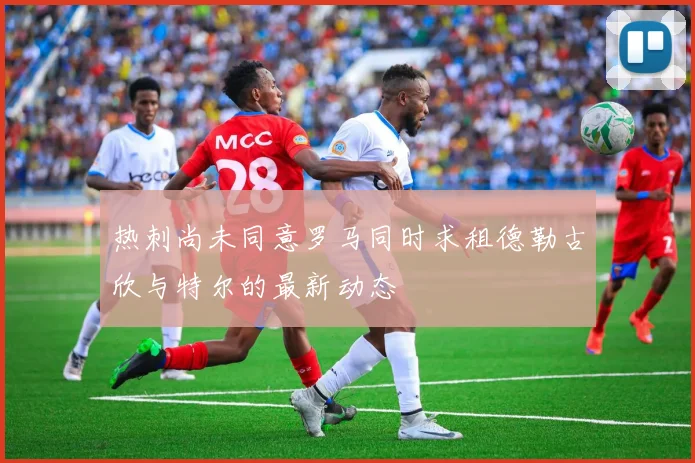 热刺尚未同意罗马同时求租德勒古欣与特尔的最新动态